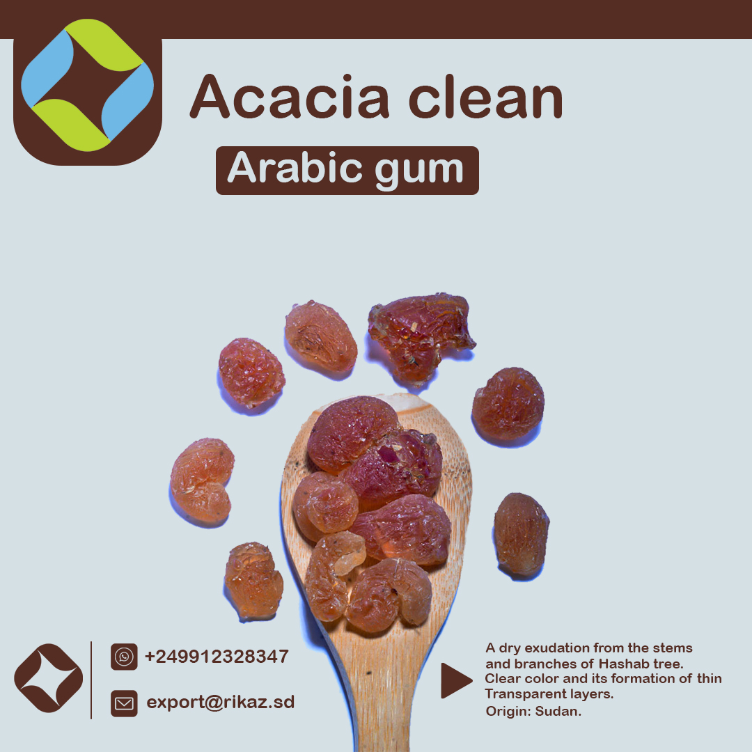 Gum Arabic Acacia E414, Gum Hashab, Gum Arabic Resin Incense Produce of  Sudan ,acacia 100% Natural Pure , Premium Grade صمغ عربي الهشاب 