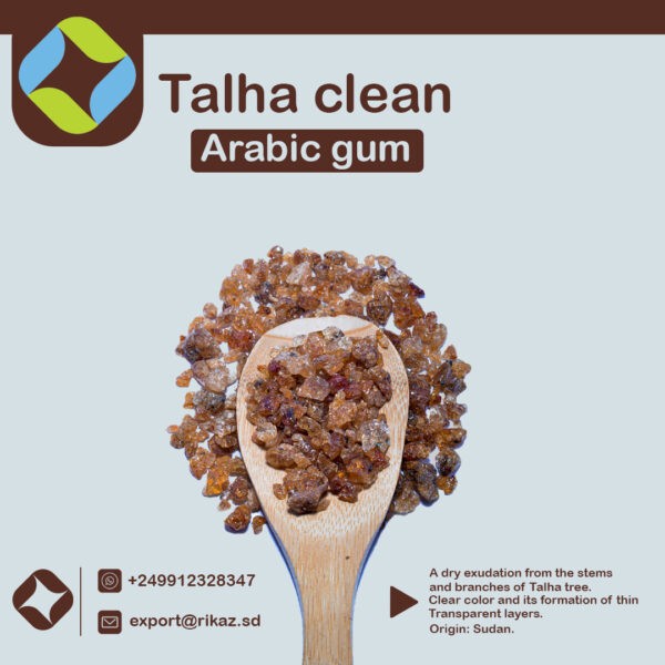 Arabic-Gum-Talha-2