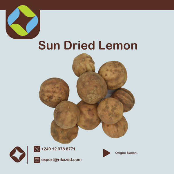 Dried-Lemon-1