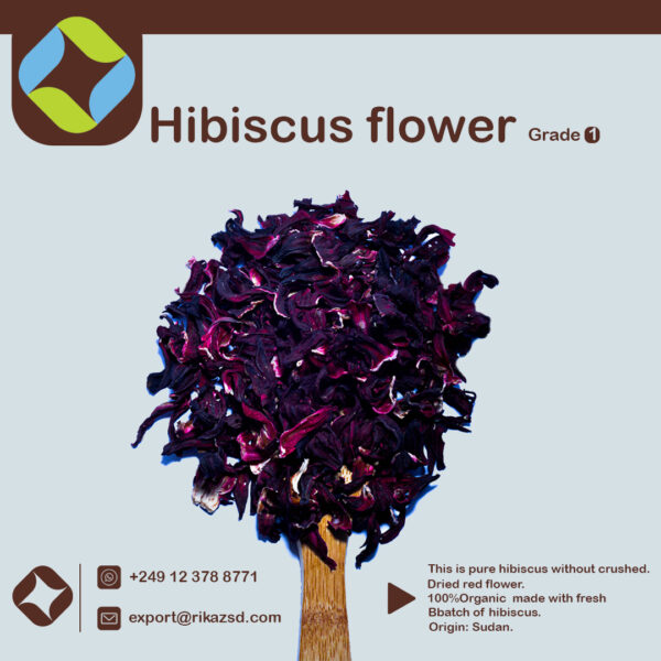 Hibiscus-flower-1