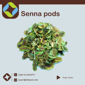 Senna-pods-1.