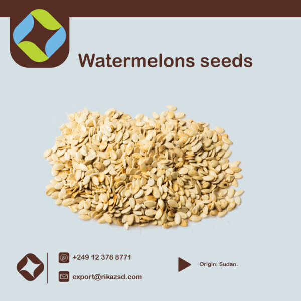 Watermelons-seeds-normal-size-1