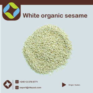 White-sesame-commercial-organic-1