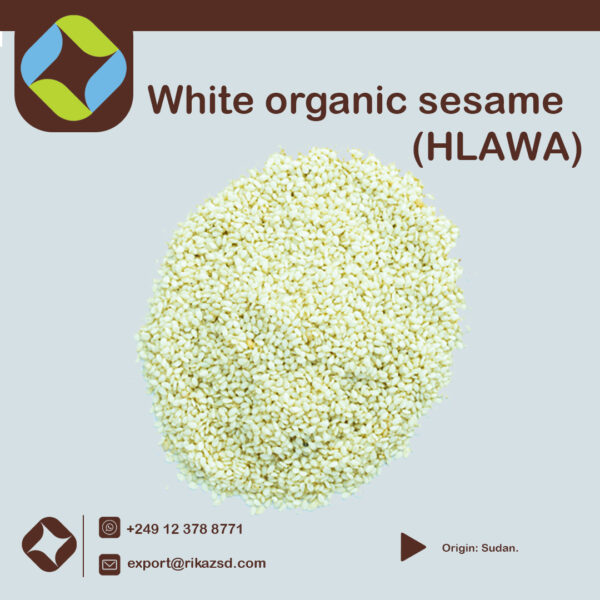 White-sesame-organic-HLAWA-1