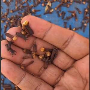 clove cloves